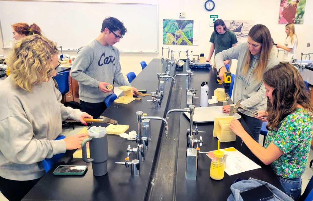 Students building bee hotels to study stem-nesting bees.